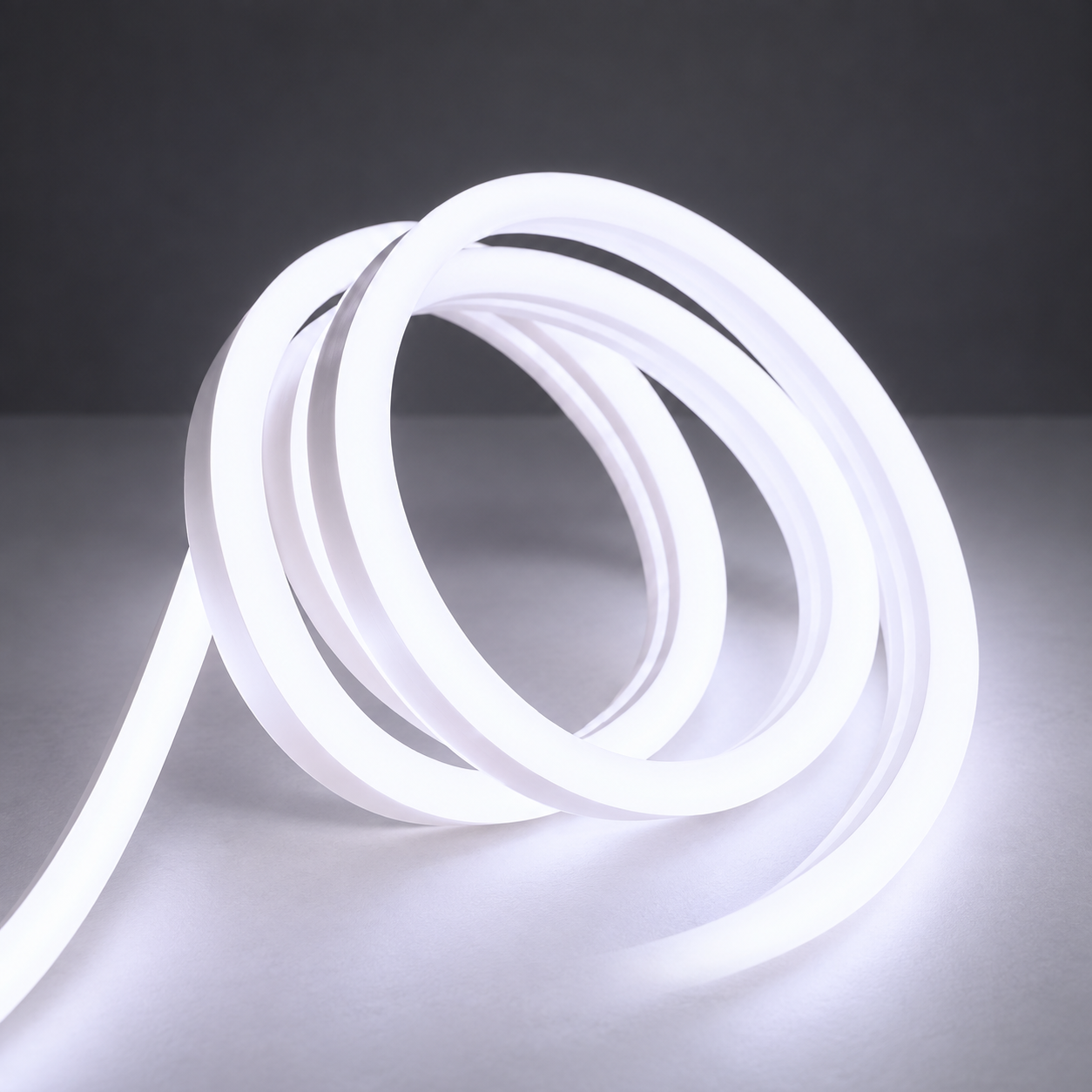 NEON LEDLER - 12 Volt